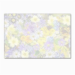 Spring Flowers Soft Postcards 5  x 7  (10 Pack)