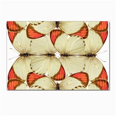 Butterfly Art White&orage Postcard 4 x 6  (10 Pack) by BrilliantArtDesigns