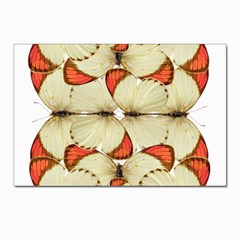 Butterfly Art White&orage Postcards 5  X 7  (10 Pack)