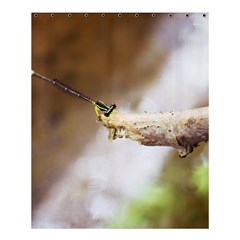 Dragon Fly Shower Curtain 60  X 72  (medium)