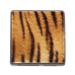 Tiger Coat2 Memory Card Reader with Storage (Square) Front