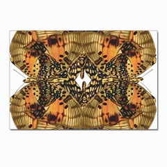 Butterfly Art Tan & Orange Postcards 5  X 7  (10 Pack)