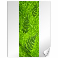 Leaf & Leaves Canvas 12  X 16  (unframed)