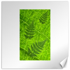 Leaf & Leaves Canvas 16  X 16  (unframed)