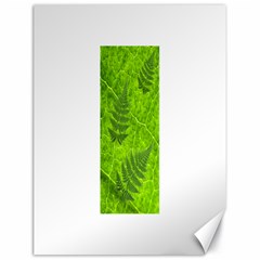 Leaf & Leaves Canvas 18  X 24  (unframed)