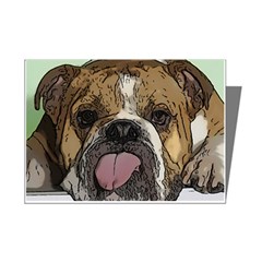 Bull Dog Nap Mini Greeting Card (8 Pack)