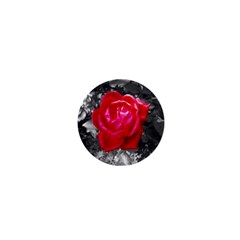 Red Rose 1  Mini Button by jotodesign