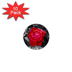 Red Rose 1  Mini Button (10 Pack)