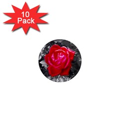 Red Rose 1  Mini Button Magnet (10 Pack)