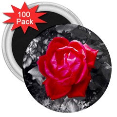 Red Rose 3  Button Magnet (100 Pack) by jotodesign