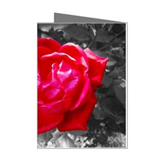 Red Rose Mini Greeting Card (8 Pack) by jotodesign