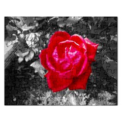 Red Rose Jigsaw Puzzle (rectangle)