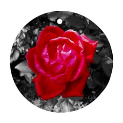 Red Rose Round Ornament (two Sides)