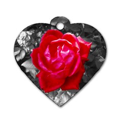 Red Rose Dog Tag Heart (one Sided)  by jotodesign