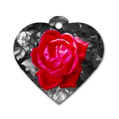 Red Rose Dog Tag Heart (two Sided)