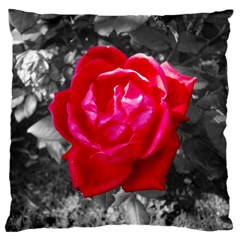 Red Rose Large Cushion Case (two Sided) 