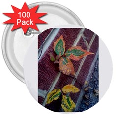 A Leaf In Stages 3  Button (100 Pack)