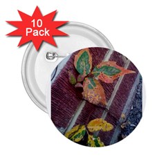 A Leaf In Stages 2 25  Button (10 Pack)