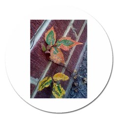 A Leaf In Stages Magnet 5  (round) by WispsofFantasy