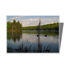 Lake Side Mini Greeting Card (8 Pack)