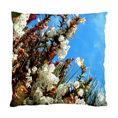 Australia Flowers Cushion Case (two Sided) 