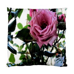 Rose Cushion Case (single Sided)  by Contest1852090