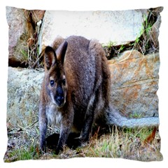 Kangaroo Large Cushion Case (two Sided) 