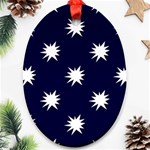 Bursting in Air Oval Ornament (Two Sides) Front