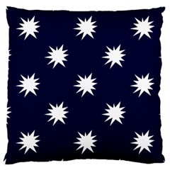 Bursting In Air Large Cushion Case (single Sided)  by StuffOrSomething