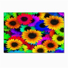 Colorful Sunflowers Postcard 4 x 6  (10 Pack) by StuffOrSomething