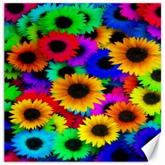 Colorful Sunflowers Canvas 16  X 16  (unframed)