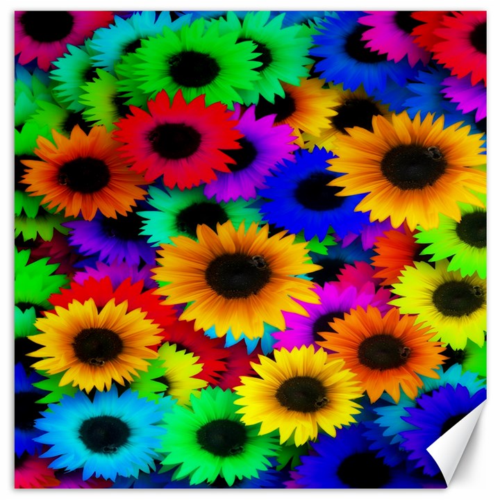 Colorful Sunflowers Canvas 20  x 20  (Unframed)