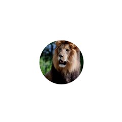 Regal Lion 1  Mini Button Magnet by AnimalLover