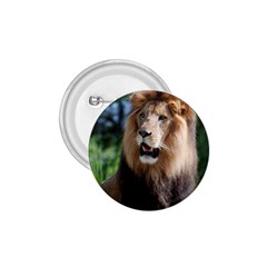 Regal Lion 1 75  Button by AnimalLover