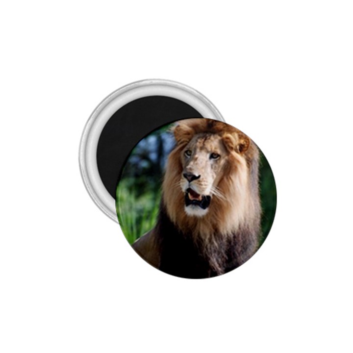 Regal Lion 1.75  Button Magnet