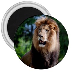 Regal Lion 3  Button Magnet by AnimalLover