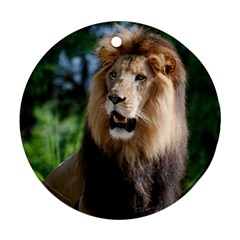 Regal Lion Round Ornament by AnimalLover