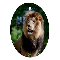 Regal Lion Oval Ornament by AnimalLover