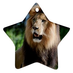 Regal Lion Star Ornament by AnimalLover