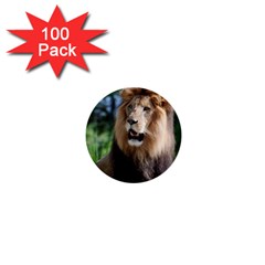 Regal Lion 1  Mini Button (100 Pack)