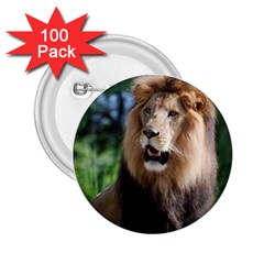 Regal Lion 2 25  Button (100 Pack)