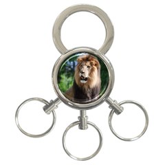 Regal Lion 3-ring Key Chain by AnimalLover