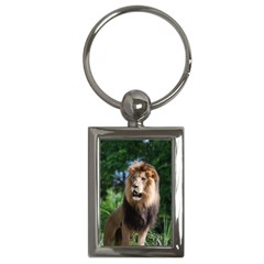 Regal Lion Key Chain (rectangle) by AnimalLover