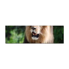 Regal Lion Bumper Sticker by AnimalLover