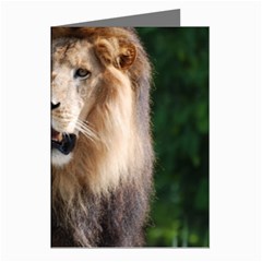 Regal Lion Greeting Card (8 Pack) by AnimalLover