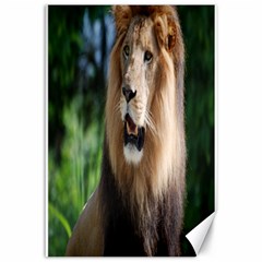 Regal Lion Canvas 12  X 18  (unframed) by AnimalLover