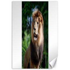 Regal Lion Canvas 20  X 30  (unframed)