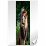 Regal Lion Canvas 24  x 36  (Unframed) 23.35 x34.74  Canvas - 1