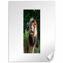 Regal Lion Canvas 36  X 48  (unframed) by AnimalLover