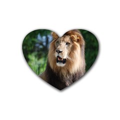 Regal Lion Drink Coasters (heart) by AnimalLover